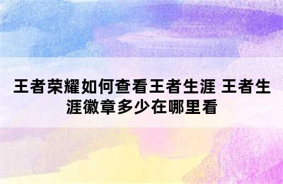 王者荣耀如何查看王者生涯 王者生涯徽章多少在哪里看